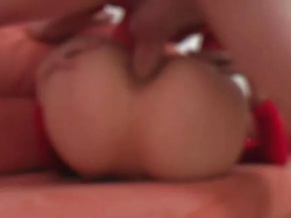 ምርጥ የዱር የቤት ውስጥ ፊንጢጣ።